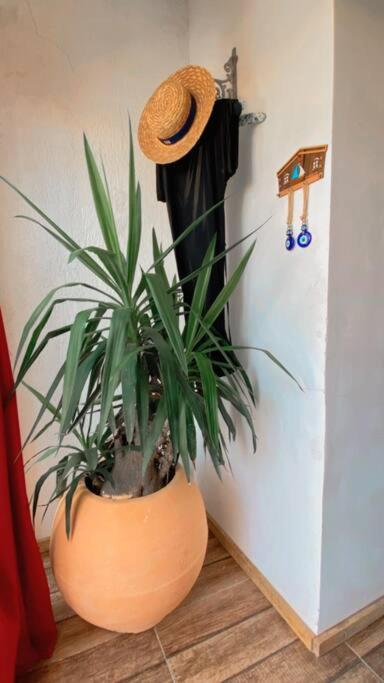 Сasa de vacaciones Casa A.mar